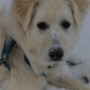 Meet your Posher, Pam